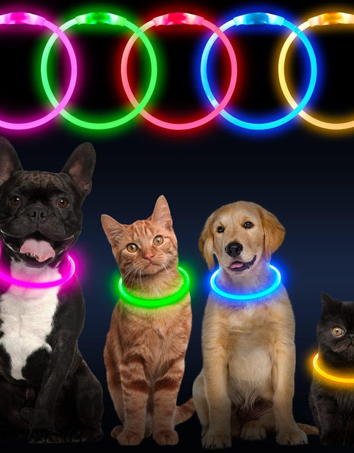 Load image into Gallery viewer, LED Dog Collar, USB Rechargeable Glowing Lighted up Collar, Cuttable Water-Resistant TPU Safety Collar Lights for Small Medium Large Dogs
