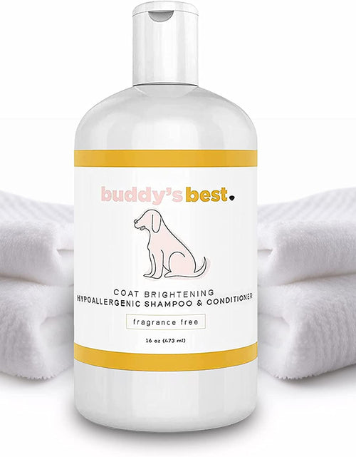 Load image into Gallery viewer, Dog Shampoo and Conditioner - Gentle Dog Shampoo &amp; Conditioner with Oatmeal Ingredient for Dry and Sensitive Skin - Moisturizing Puppy Wash Shampoo, Fragrance-Free, 16Oz

