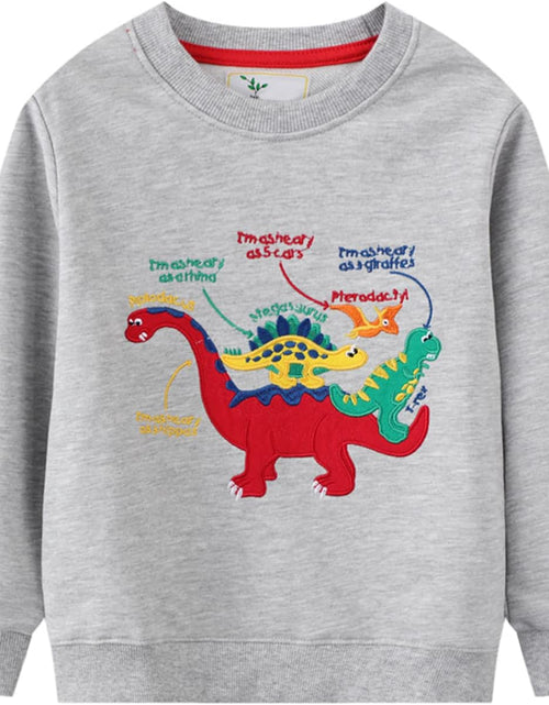 Load image into Gallery viewer, 2 Pack Toddler Boys Sweatshirts Patterned Long Sleeve Pullover Crewneck Tops Shirts
