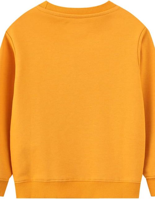 Load image into Gallery viewer, 2 Pack Toddler Boys Sweatshirts Patterned Long Sleeve Pullover Crewneck Tops Shirts
